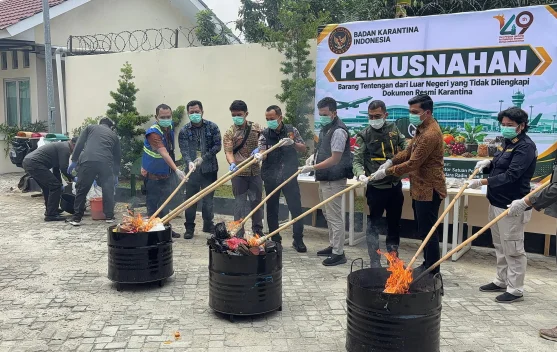 Barantin Lampung Musnahkan Bakso, Sosis, Buah, dan Benih Barang Bawaan dari Malaysia