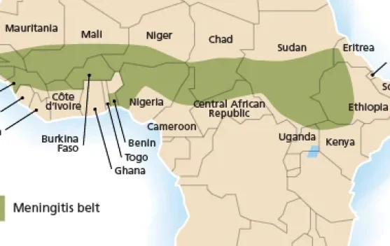 World Meningitis Day Highlights African Belt and Global Risks