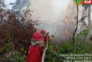 Kemendikdasmen Siapkan Protokol Pembelajaran Darurat Karhutla di Kalimantan