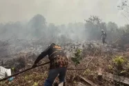 Karhutla Ancam Enam Provinsi Ini, BNPB Kerahkan Puluhan Helikopter 'Water Bombing'