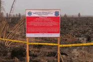KLH Segel Lahan 1.500 Hektare di Kalimantan Barat