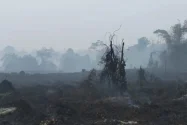 BMKG Deteksi 2.671 Titik Panas di Sumatra, Riau Capai 235 Hotspot