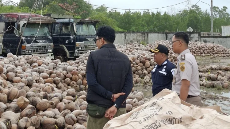 Kelapa Bulat Natuna dikirim ke Tanjungpinang Capai 148,89 Ton