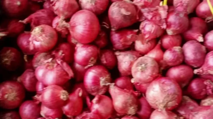 Cara Menyimpan Bawang Merah agar Tahan Lama