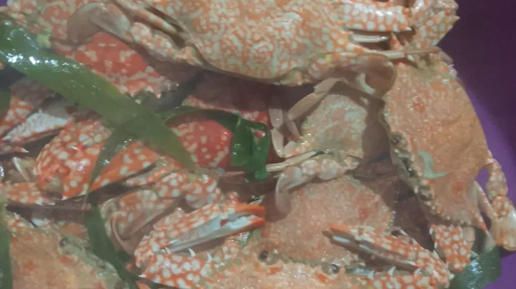 Tumis Pedas Kepiting, Menu Berbuka yang Menggugah Selera