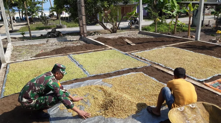 Sertu Y.Harefa Babinsa Air Kumpai Komsos Bersama Petani Cengkeh Warga Desa Binaan