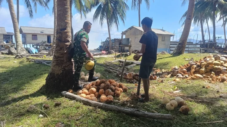 Babinsa Bantu Petani Kelapa Kadur