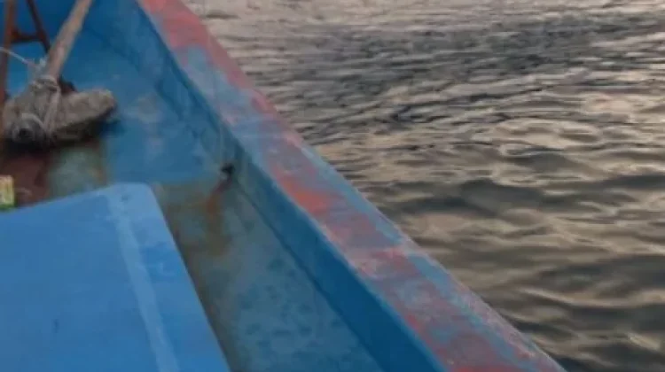 Cuaca Membaik, Harga Ikan Turun