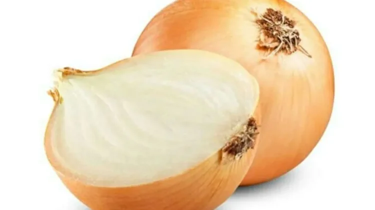 Manfaat Bawang Bombai untuk Kesehatan Tubuh