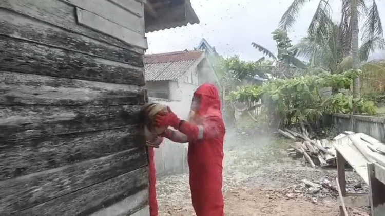 Damkar Natuna Basmi Sarang Lebah Madu di Sepempang