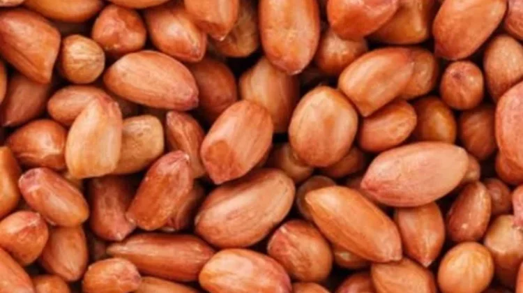 Manfaat Kacang Tanah untuk Ibu Hamil