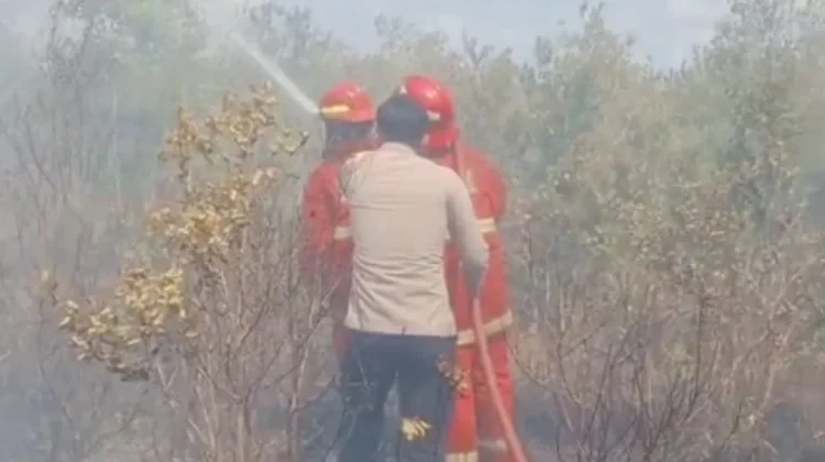 Damkar Natuna Padamkan Kebakaran Lahan Sepuluh Hektar Binjai