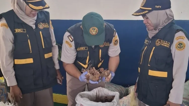 Karantina Natuna Perketat Pengawasan Lalu Lintas Komoditas jelang Idul Fitri