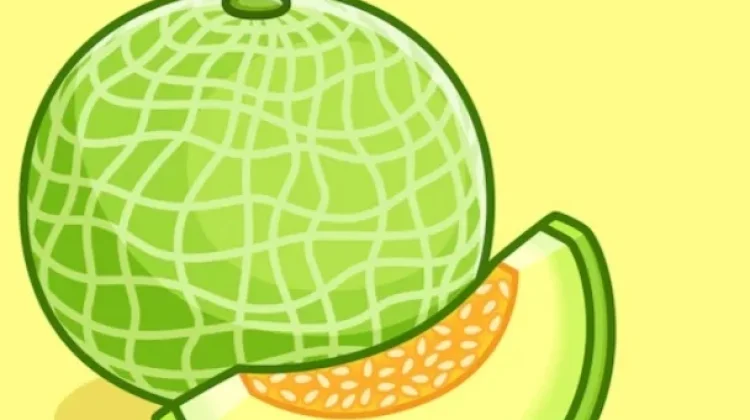 Berbagai Manfaat Buah Melon