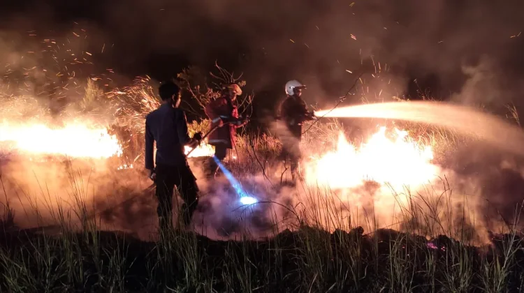 Kebakaran Lahan Sujung Hanguskan Puluhan Hektar