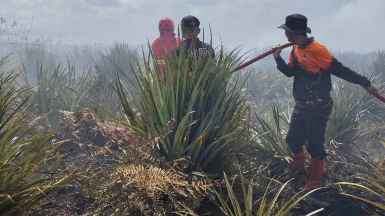 Kebakaran Lahan di Jalur Bunguran Batubi Belum Padam