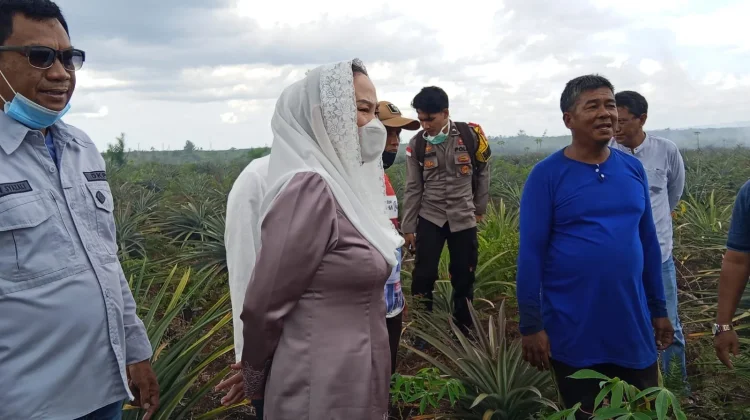 Bupati Natuna tinjau langsung Karhutla 50 Hektar di Batubi