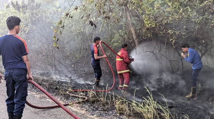 Damkar Natuna Padamkan Kebakaran Lahan Batu Sisir