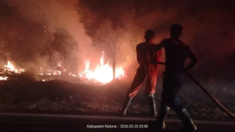 Damkar Natuna Padamkan Kebakaran Lahan Sebayar