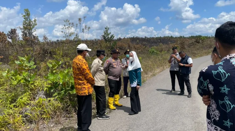 Kepala Daerah dan Kapolres Natuna Tinjau Lahan Terbakar
