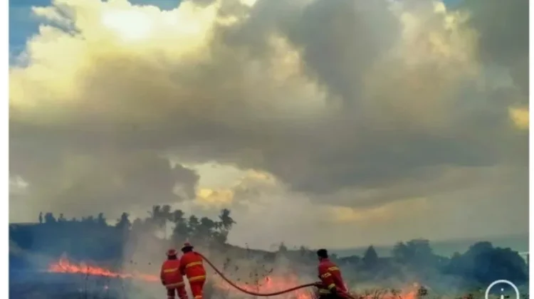 Begini Saran Wakil Ketua DPRD Natuna Menangani Karhutla