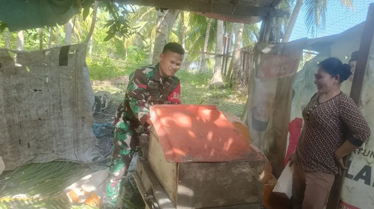 Babinsa Bantu Pengolahan Sagu Warga