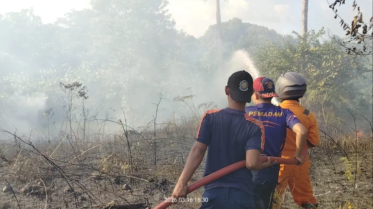 Kebakaran Lahan Natuna, Kualitas Udara Masih Aman