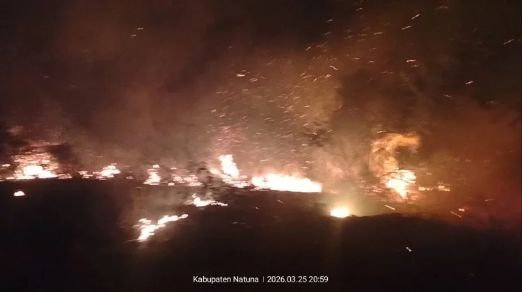 Pemda Natuna Cegah Karhutla dengan Sayembara