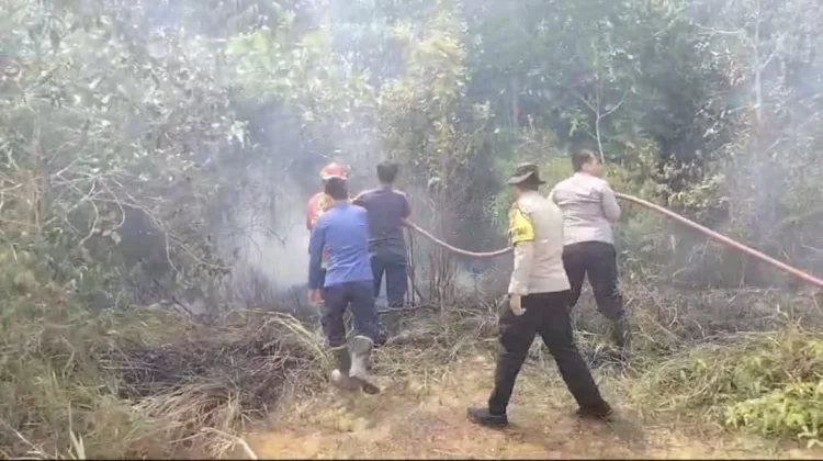 Kebakaran Lahan Seluas 1 Hektare Terjadi di Bunguran Timur Laut