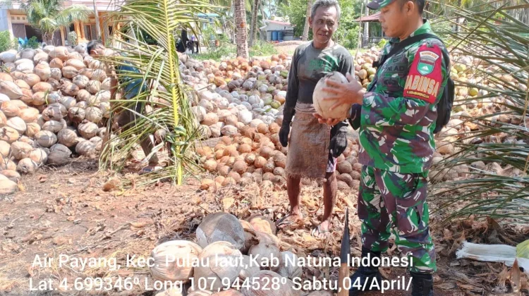 Babinsa Air Payang Dampingi Petani