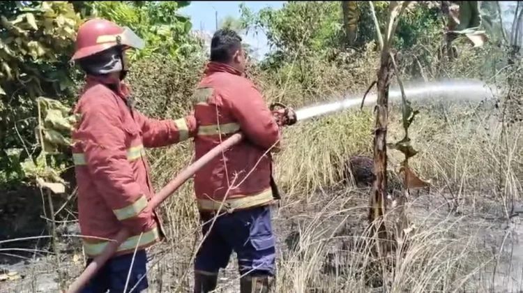 Karhutla di Ranai Kota, Akses Sulit Hambat Penanganan