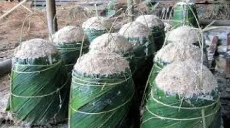 Revitalisasi Lahan Sagu untuk Kemandirian Industri Karbohidrat Non-Beras