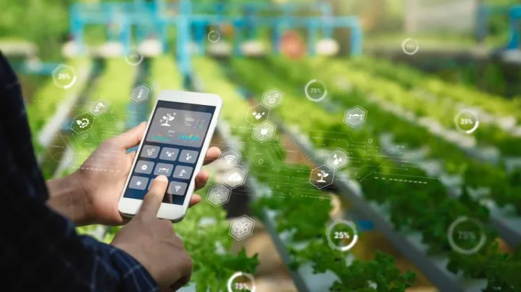 Implementasi Precision Farming Melalui Sensor Tanah Berbasis IoT