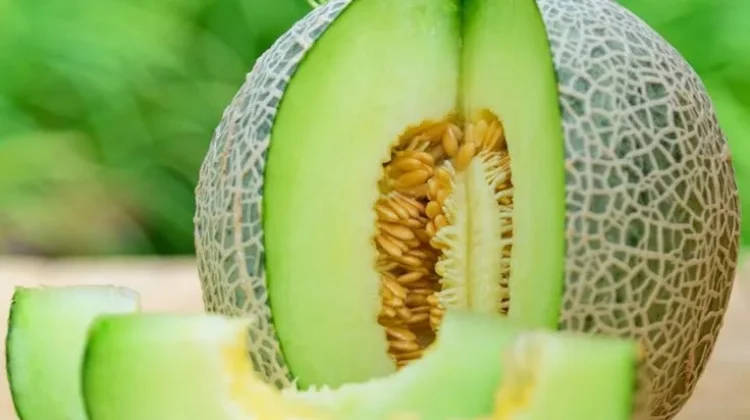 Wajib Makan Melon jika Mengalami 5 Tanda Tubuh