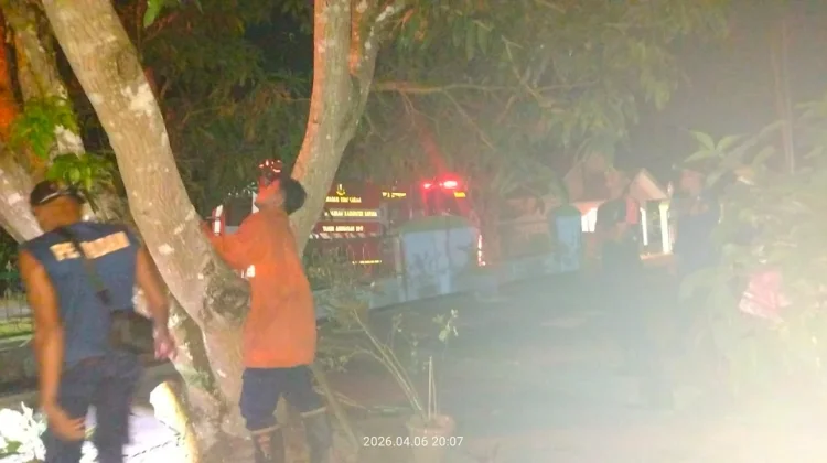 Damkar Natuna Evakuasi Sarang Tawon di Padang Kurak
