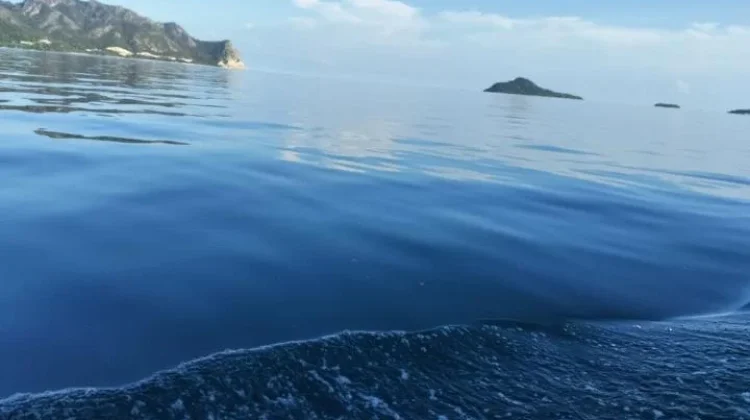 Laut Tenang dan Pemandangan Indah Jadi Obat Alami Penghilang Stres