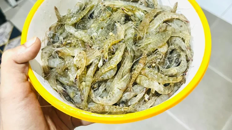 Berbagai Olahan Udang untuk Anak dan Nutrisinya