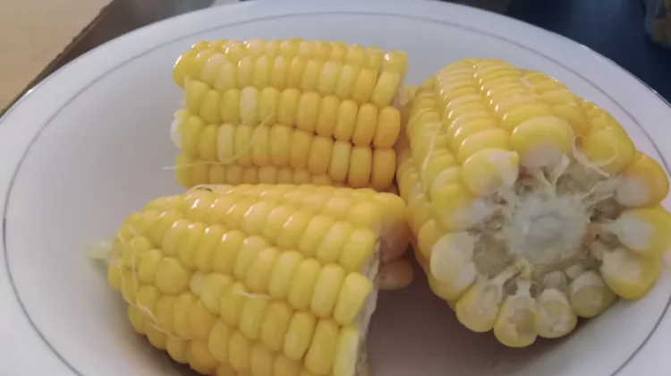 Manfaat Jagung untuk Ibu Hamil
