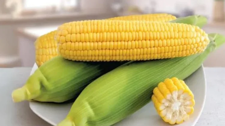 Aturan Aman mengkonsumsi Jagung untuk Ibu Hamil