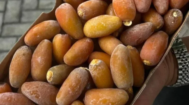 Manfaat Kurma untuk Ibu Hamil dan Janin