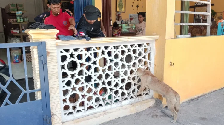 Damkar Evakuasi Anjing di Ceruk