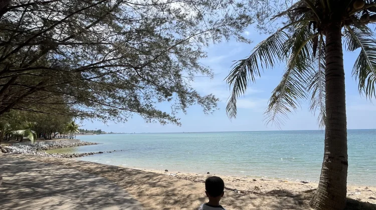 Manfaat Bermain di Alam Terbuka Bagi Si Kecil