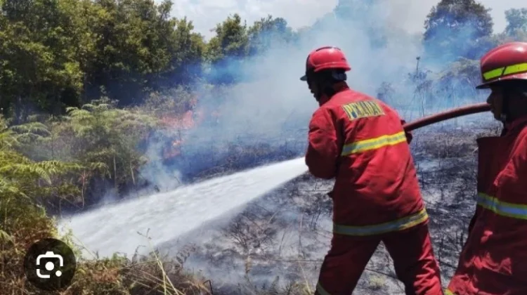 Edukasi Membuka Lahan tanpa Membakar di Nilai Penting
