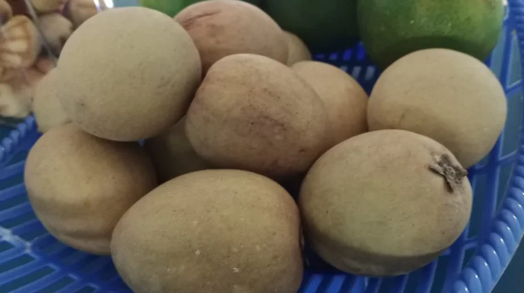 Manfaat Buah Ciku atau Sawo untuk Ibu Hamil dan Janin
