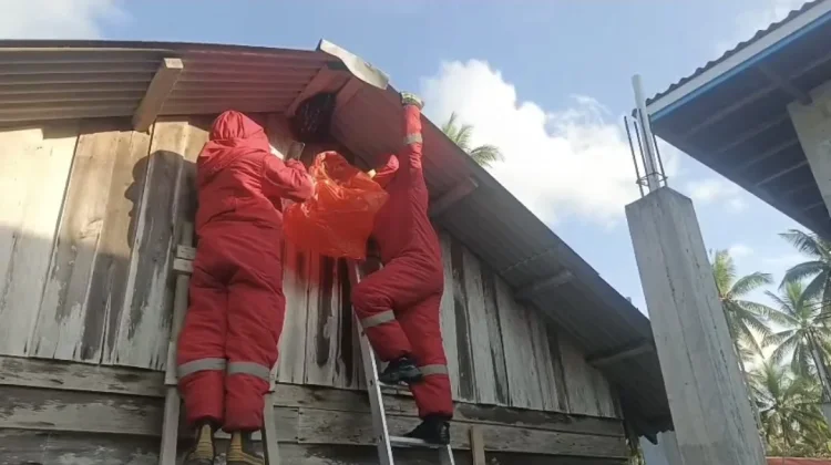 Damkar Natuna Basmi Sarang Lebah di Kelanga