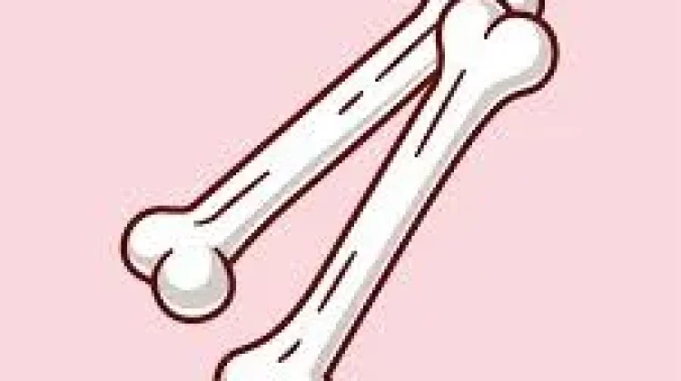 Bukan Cuma Nabung Uang, Yuk Nabung Tulang