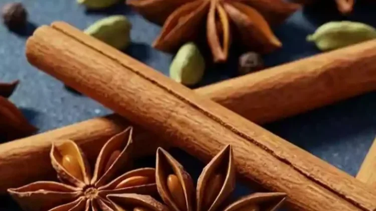 Kayu Manis Rempah Aromatik