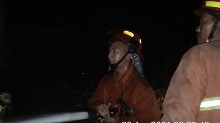 Damkar berhasil Atasi Kebakaran Lahan di  Cemaga