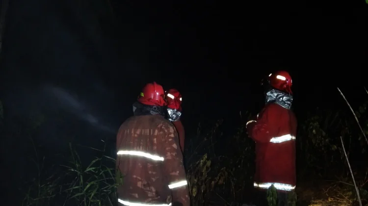 Kebakaran Lahan Terjadi di Cemaga Tanjung Saguk