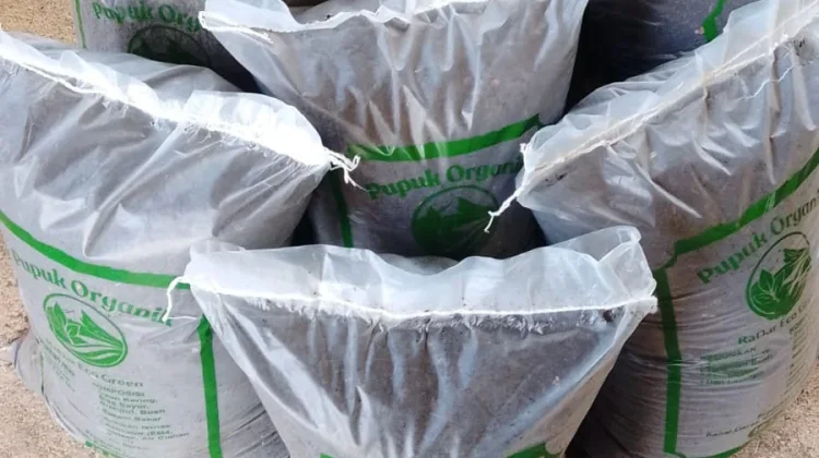 Produksi Kompos Ranai Darat Tembus 2 Ton